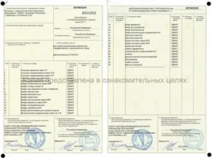 Сертификат о происхождении товара. Форма № СТ-1