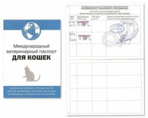 Форма ветеринарного паспорта животного