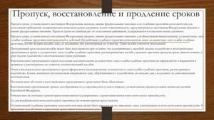 Заявление о продлении сроков в исполнительном производстве