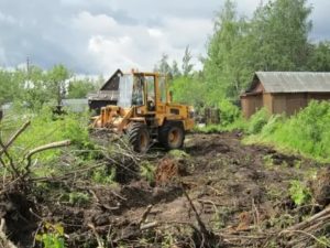 Договор подряда на расчистку территории от лесных насаждений (раскорчевка, удаление порубочных остатков, планировка площади)
