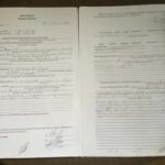 Договор суррогатного материнства